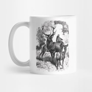 Deer Family Wildlife Illustration Mug